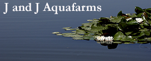 J and J AquaFarms